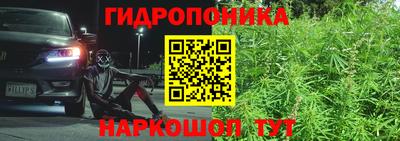 PSILOCYBIN Партизанск