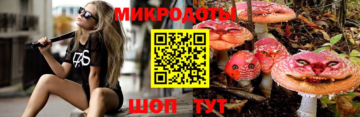 Псилоцибиновые грибы Psilocybe  Вход с VPN  Ревда 